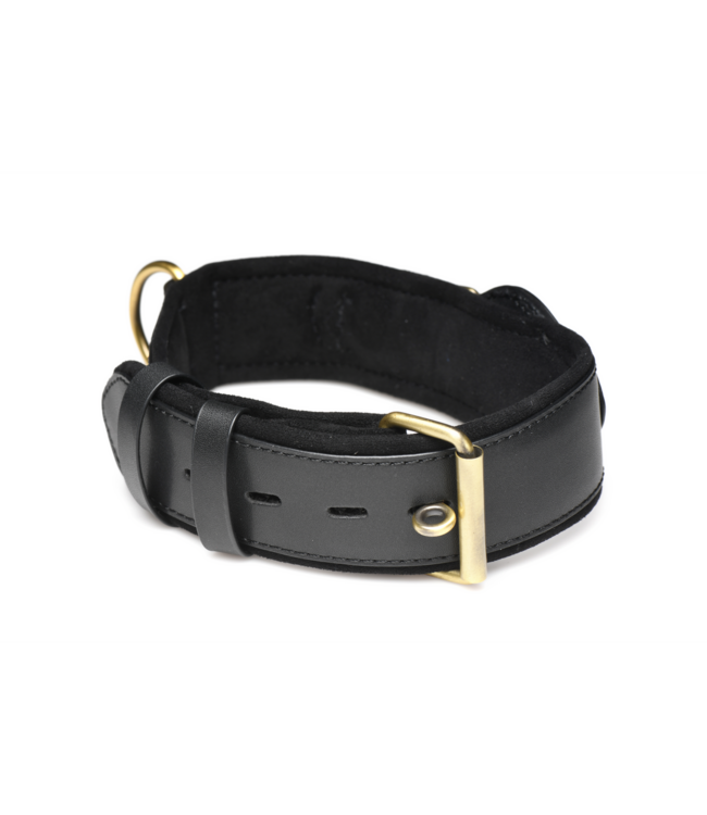 XR Brands Stylisches Tracer Tracking Halsband Schwarz | Verstellbar & komfortabel
