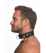 XR Brands Discrete Faux Leer Tracking Halsband Verstelbaar Zwart XR Brands