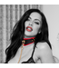 Ouch! Milan Collection Black/Red Collar & Leash - Stylish & Durable Set