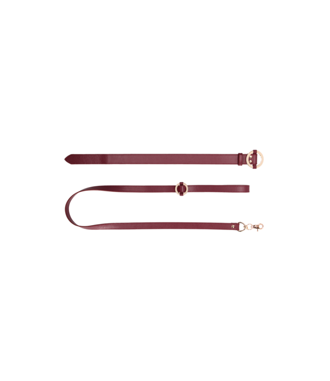 Ouch! Ouch Halo Rood Halsband En Leash Set Met Gouden Accenten En Lederlook