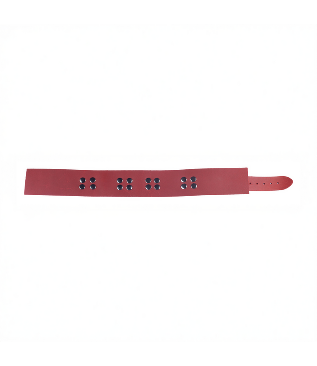 Red Leather Zelle Ultra Lederkette Rot | Stylisches & robustes SM-Accessoire