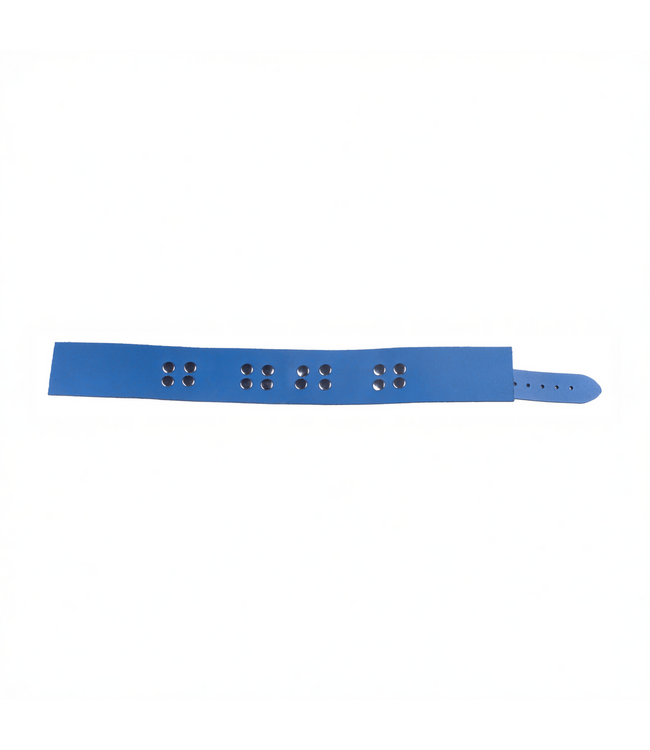 Red Leather Leren Halsband SM Blauw 5,5 cm Breed Plantaardig Gelooid Rundleer Europese Kwaliteit