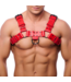 Red Leather Bulldog Plantaardig Gelooid Rundleer Harnas L/XL Rood Met Metalen Sluitingen