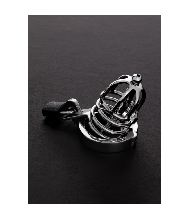 Steel by Shots Roestvrijstalen Kuisheidskooi 1,8/45 Mm Met Hangslot | Steel By Shots