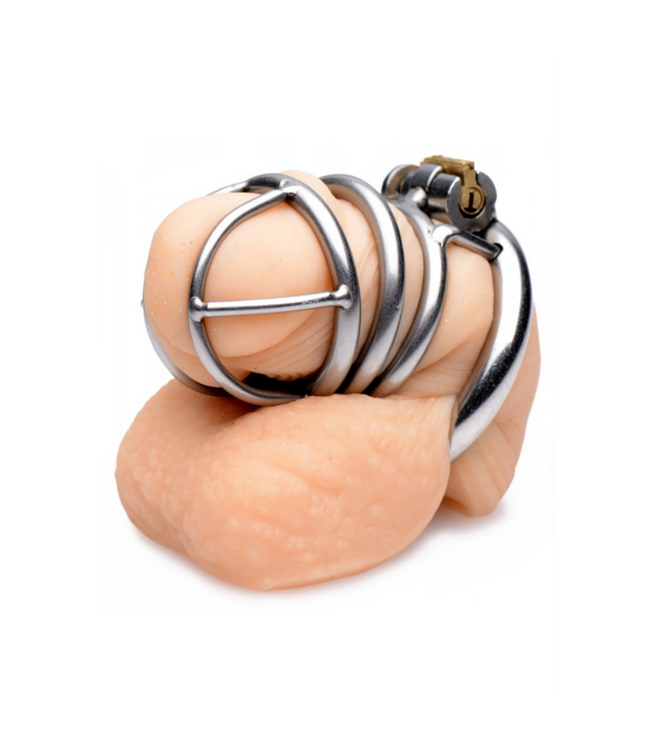 XR Brands Eleganter Edelstahl-Keuschheitskäfig mit Schloss und O-Ringen für Komfort