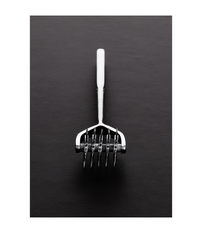 Steel by Shots Neurologische Wartenberg Stimulator Met Vijf Pinnen Van Steel By Shots