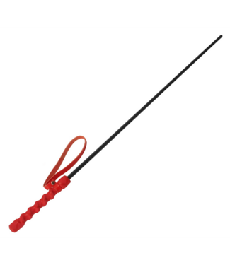 XR Brands Krachtige Intense Impact Cane Met Ergonomische Rubberhandgreep Rood