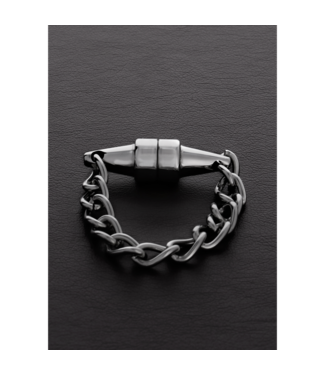 Steel by Shots Mini Magnetische Tepel- En Intieme Klemmen Met RVS Ketting Design