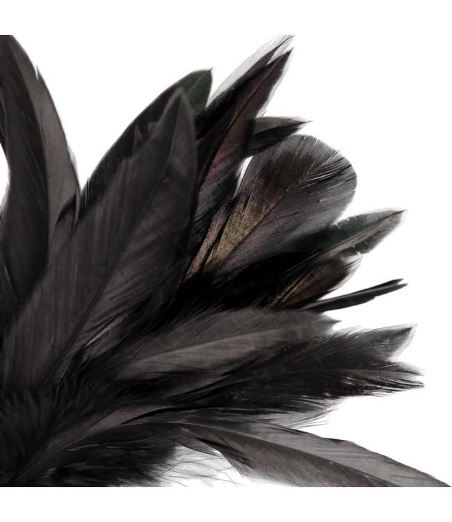 Ouch! Zwarte Small Feather Tickler Voor Zintuiglijke Prikkeling En Sensualiteit