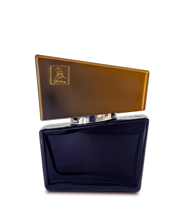 HOT Irresistible Man Grey Pheromone Perfume 50ml – Boost Your Attractiveness