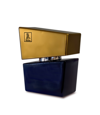 HOT HOT Feromoonparfum Voor Mannen Grijs 15 Ml – Zelfvertrouwen & Aantrekkingskracht