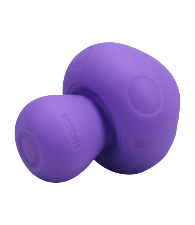 Doc Johnson Kleine Oplaadbare Siliconen Vibrator Paars Met 10 Stille Vibraties