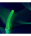 RealRock RealRock Glow In The Dark Dildo 22,5 cm Met Zuignap En Veilig TPE Materiaal