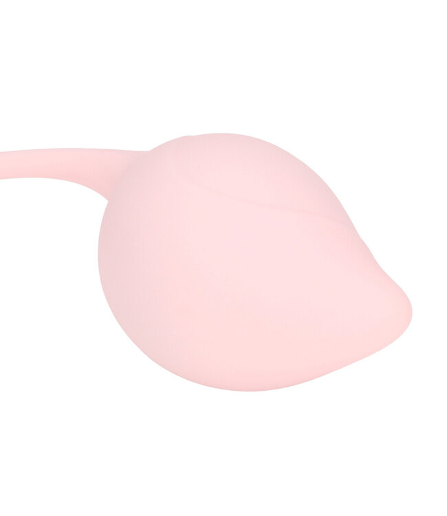 Loveline Loveline Multicolour Pelvic Floor Kegel Training Set with 5 Weights