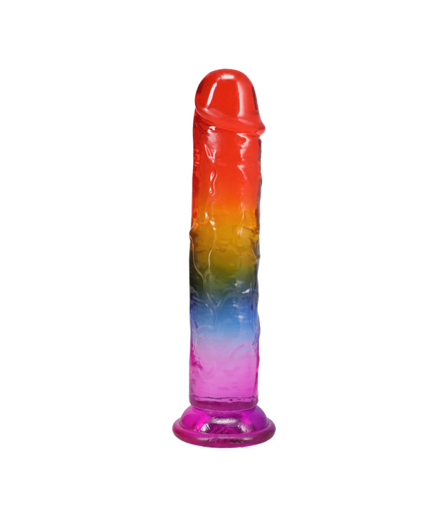 Doc Johnson Doc Johnson Crystal Jellies Dong 21,3 cm Zacht Flexibel Regenboogkleur