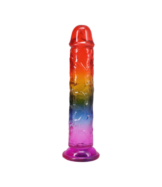 Doc Johnson Doc Johnson Crystal Jellies Dong 21,3 cm Zacht Flexibel Regenboogkleur