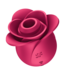 Satisfyer Satisfyer Pro 2 Modern Blossom: Luxury Waterproof Wave Vibrator