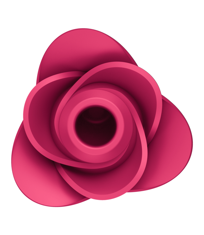 Satisfyer Satisfyer Pro 2 Modern Blossom – Eleganter Druckwellen-Vibrator Rosa
