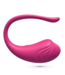 Crushious Crushious Oplaadbaar Vibrerend Eitje Roze Met Afstandsbediening USB & Waterdicht