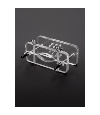 Steel by Shots Ball Butcher Acryl-Cockring mit Spikes – Genialer Blick und Druck