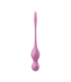 Satisfyer Love Birds 1 Pink: Kegel & G-spot Pleasure with App Connectivity