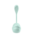 Satisfyer Satisfyer Smooth Petal Connect Mint – Draagbare Waterdichte Vibrator met App-besturing