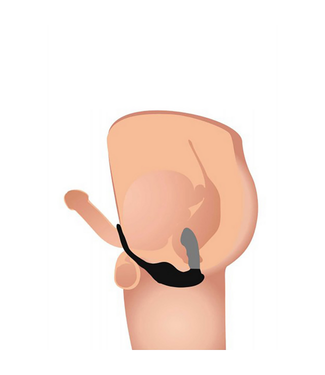 XR Brands Vibrierender Prostatamassager mit Harness - 7 Geschwindigkeiten für intensives Vergnügen