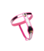 XR Brands Comfortable Pink Stainless Steel Women's Chastity Belt for Discretion
