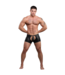 Male Power Poseidon Open Crotch Shorts with Removable Thong and Studded Design
