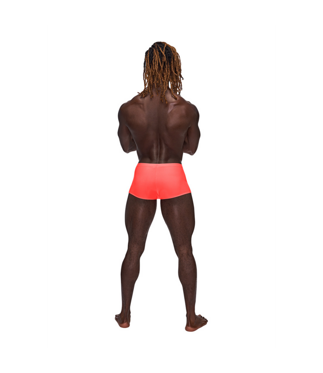 Male Power Trendy Male Power Mini Short - Comfortabel en Stijlvol voor Elke Gelegenheid