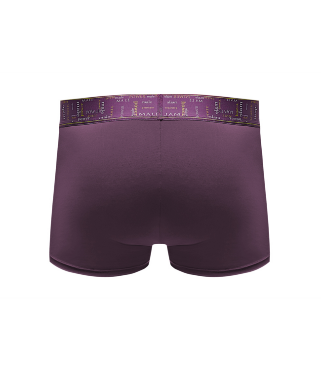 Male Power Male Power Avant-Garde Enhancer Shorts - Luxury Comfort in Aubergine