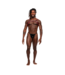 Male Power Leo Kunstleder-Brustgeschirr Schwarz/Rot | Verstellbar & Stylisch