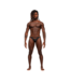 Male Power Elegante Micro V String S/M in Zwart | Verleidelijke Male Power Stijl