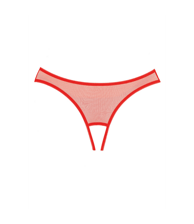 Allure Verleidelijke Doorschemerende Mesh String met Lace en Speelzacht Strikje