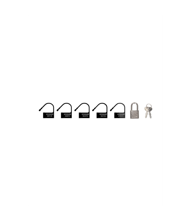 ManCage Spare Lock Set for Mancage: 5 Black Locks & Sturdy Padlock