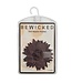 BeWicked BeWicked Star-Shaped Lace Nipple Pasties - 3 Pairs, Self-Adhesive