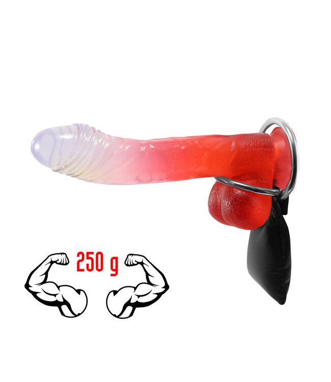 Kiotos Leather Leather Weight & Rings Set – Enhance Erection Strength & Comfort