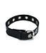 Kiotos Leather Stylish Black Leather Collar with Metal Eyelets - Adjustable 58 cm