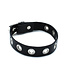 Kiotos Leather Stylish Black Leather Collar with Metal Eyelets - Adjustable 58 cm