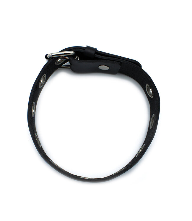 Kiotos Leather Stylish Black Leather Collar with Metal Eyelets - Adjustable 58 cm