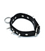 Kiotos Leather Cooles schwarzes Lederhalsband mit Spikes & O-Ring, verstellbar
