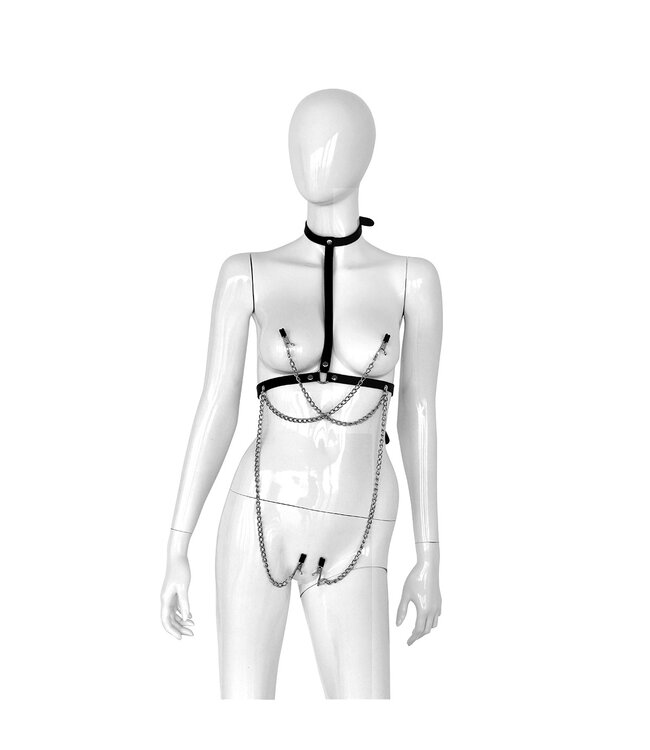 Kiotos Leather Leather Collar Box with 4 Clamps - BDSM Stimulation Accessory