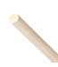 Kiotos Leather Rotan Cane Whip 60 cm | Flexibele Bamboe met Zwarte Handgreep voor Avonturen