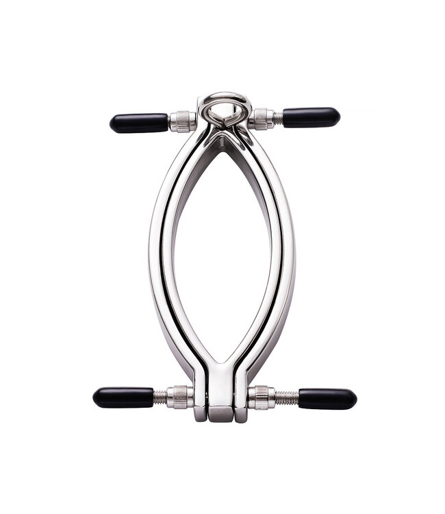 Kiotos Steel Adjustable Clit Clamp with Leash Chain for Ultimate Stimulation