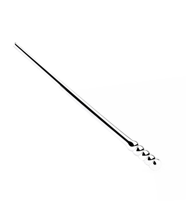 Kiotos Steel RVS Dip Stick Wand Trainer 22,3 cm - Duurzaam & Hygiënisch voor Geleidelijk Gebruik