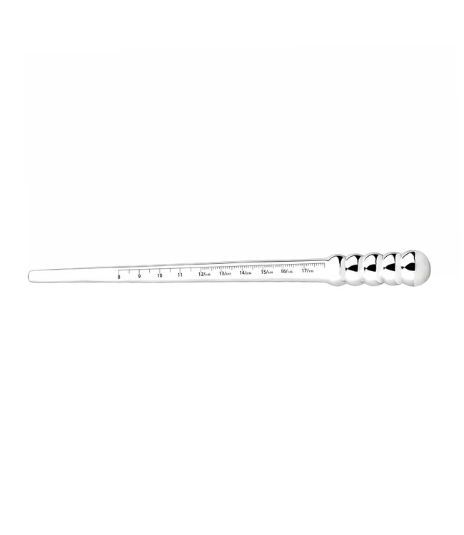 Kiotos Steel RVS Dip Stick Wand Trainer 22,3 cm - Duurzaam & Hygiënisch voor Geleidelijk Gebruik