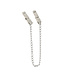 Kiotos Steel Elegante Zinklegering Tepelklemmen met Ketting voor Intens Genot