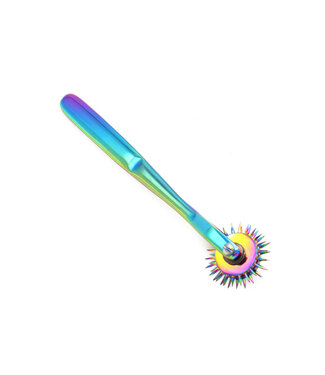 Kiotos Steel Unieke Dubbele Regenboog Pinwheel van Roestvrij Staal voor Sensorisch Spel