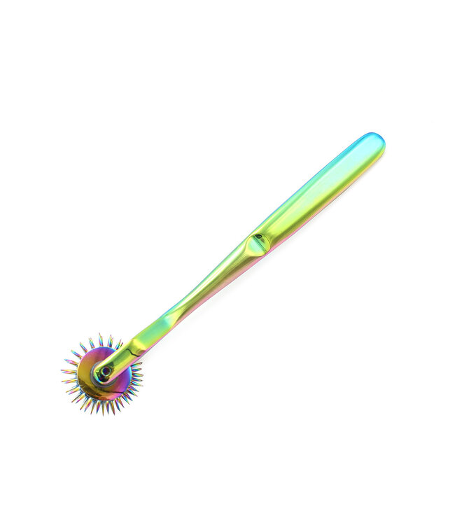 Kiotos Steel Unieke Dubbele Regenboog Pinwheel van Roestvrij Staal voor Sensorisch Spel