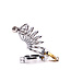 Kiotos Steel Stainless Steel Chastity Cage with Removable Plug - Safe & Comfortable